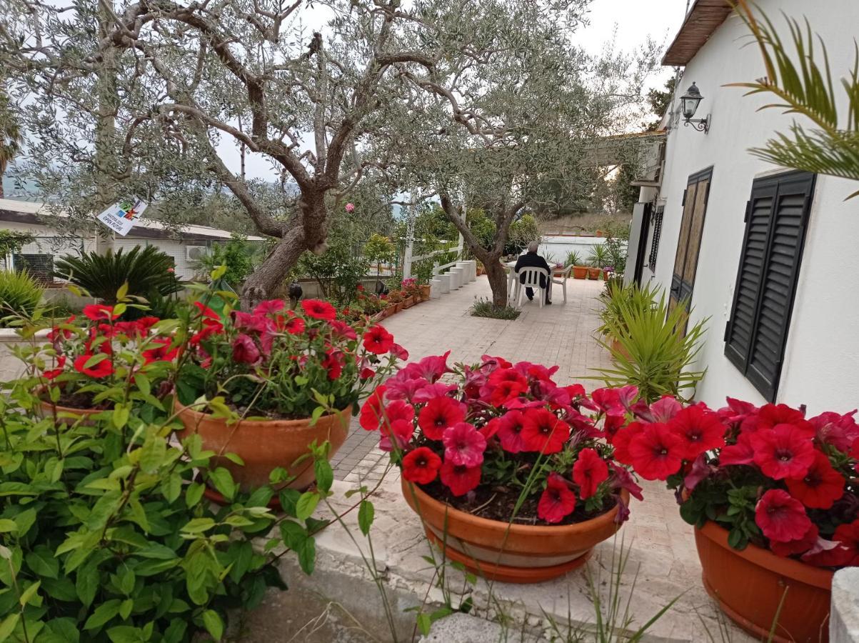 Villa Il Corbezzolo à Matera Extérieur photo